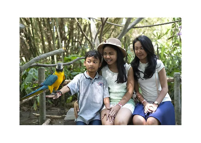 Affittacamere Narendra Ubud
